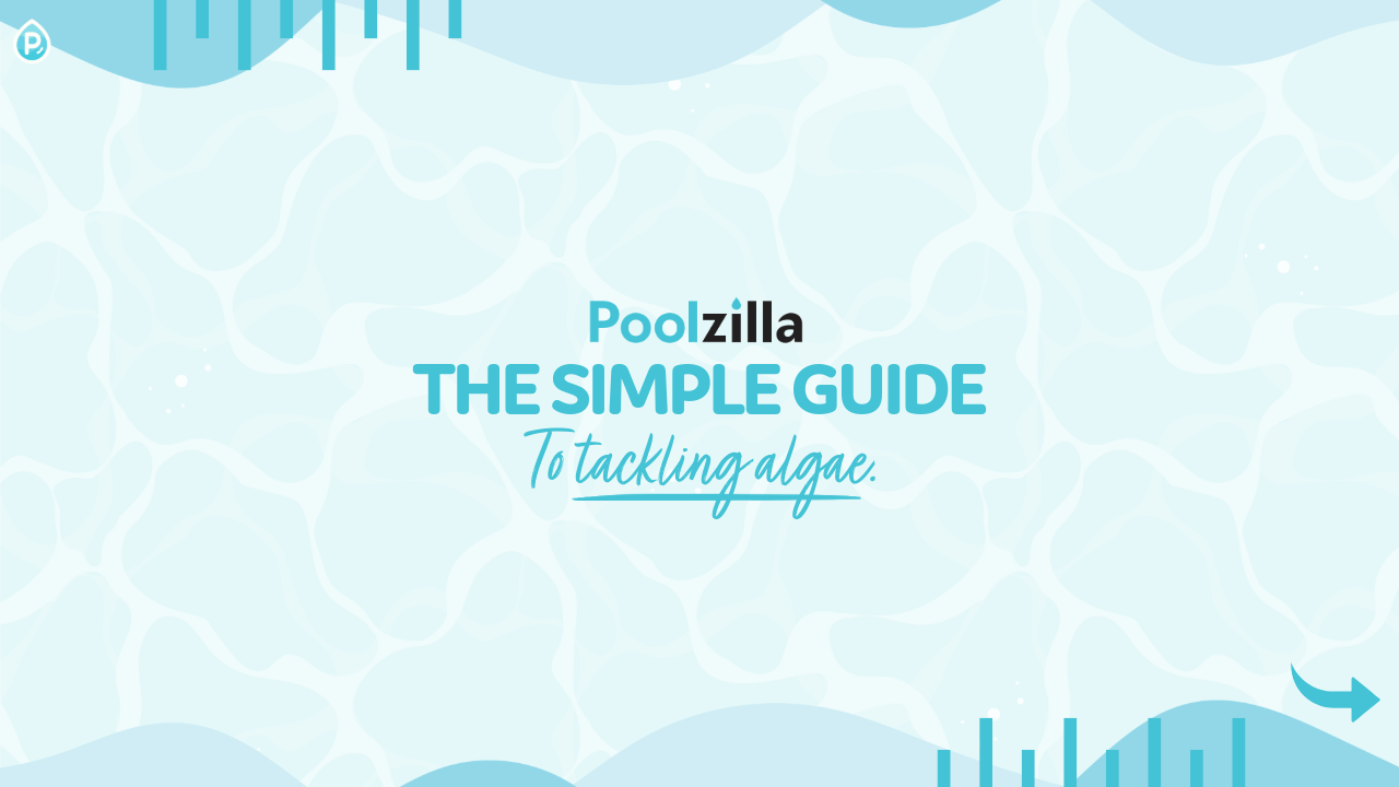 The Simple Guide: To Tackling Algae
