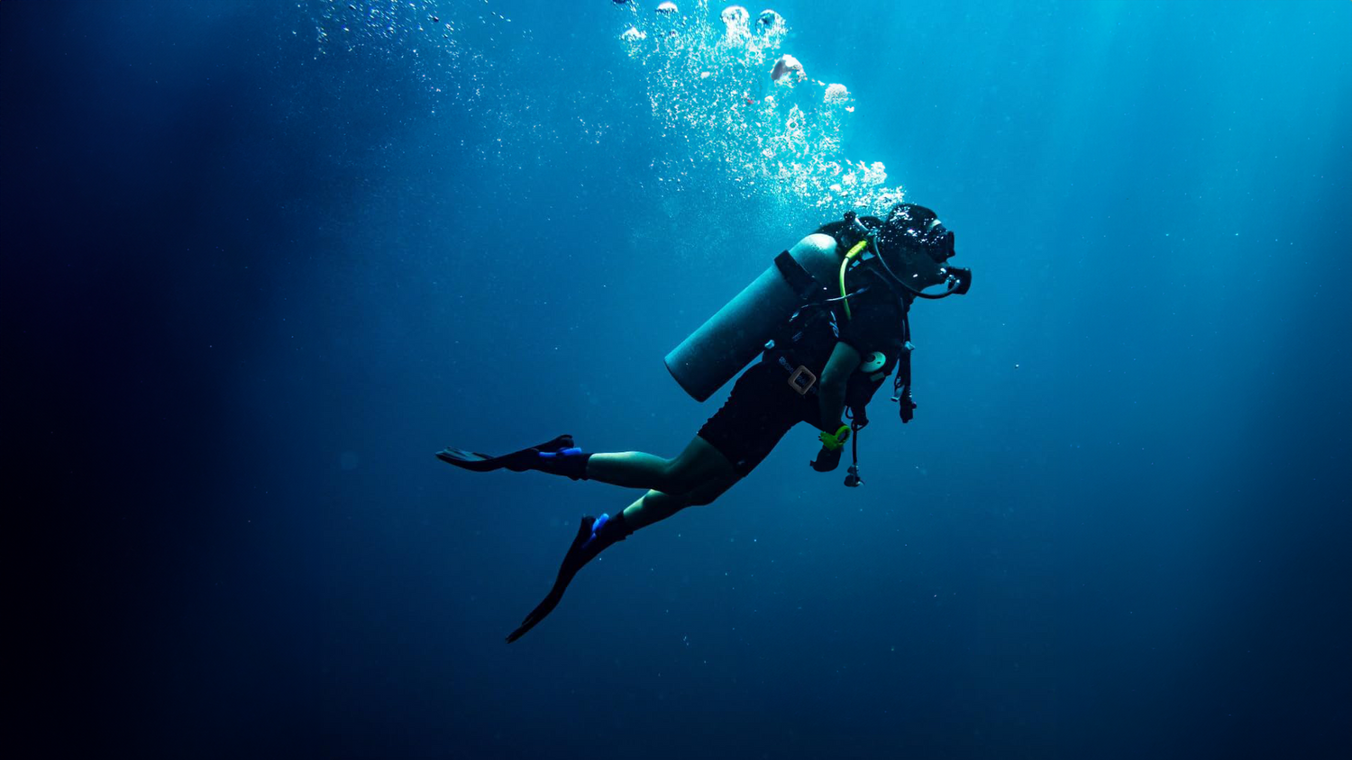 Diving Weights