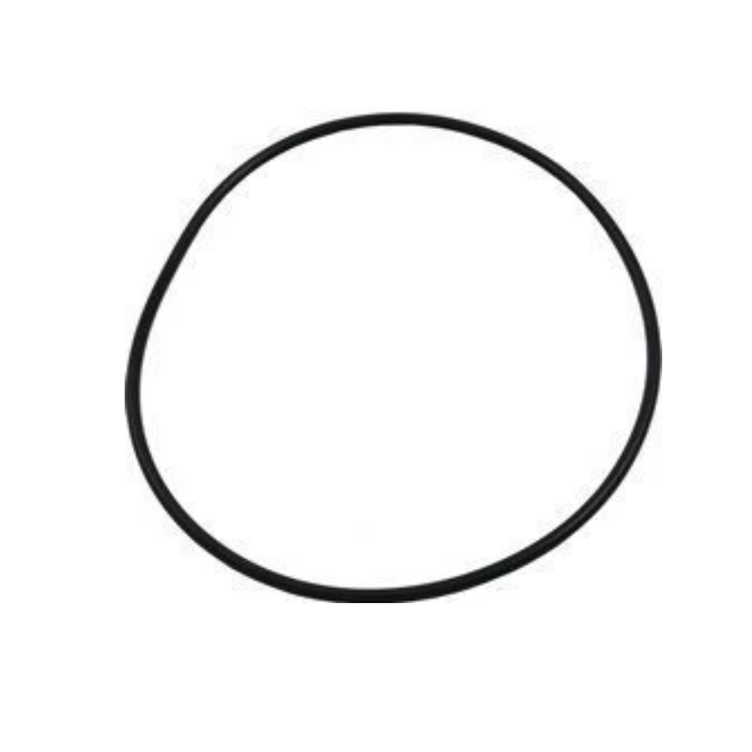 Waterway Plastics 806105129697 Discharge Pool & Spa Pump Volute O Ring Face Plate