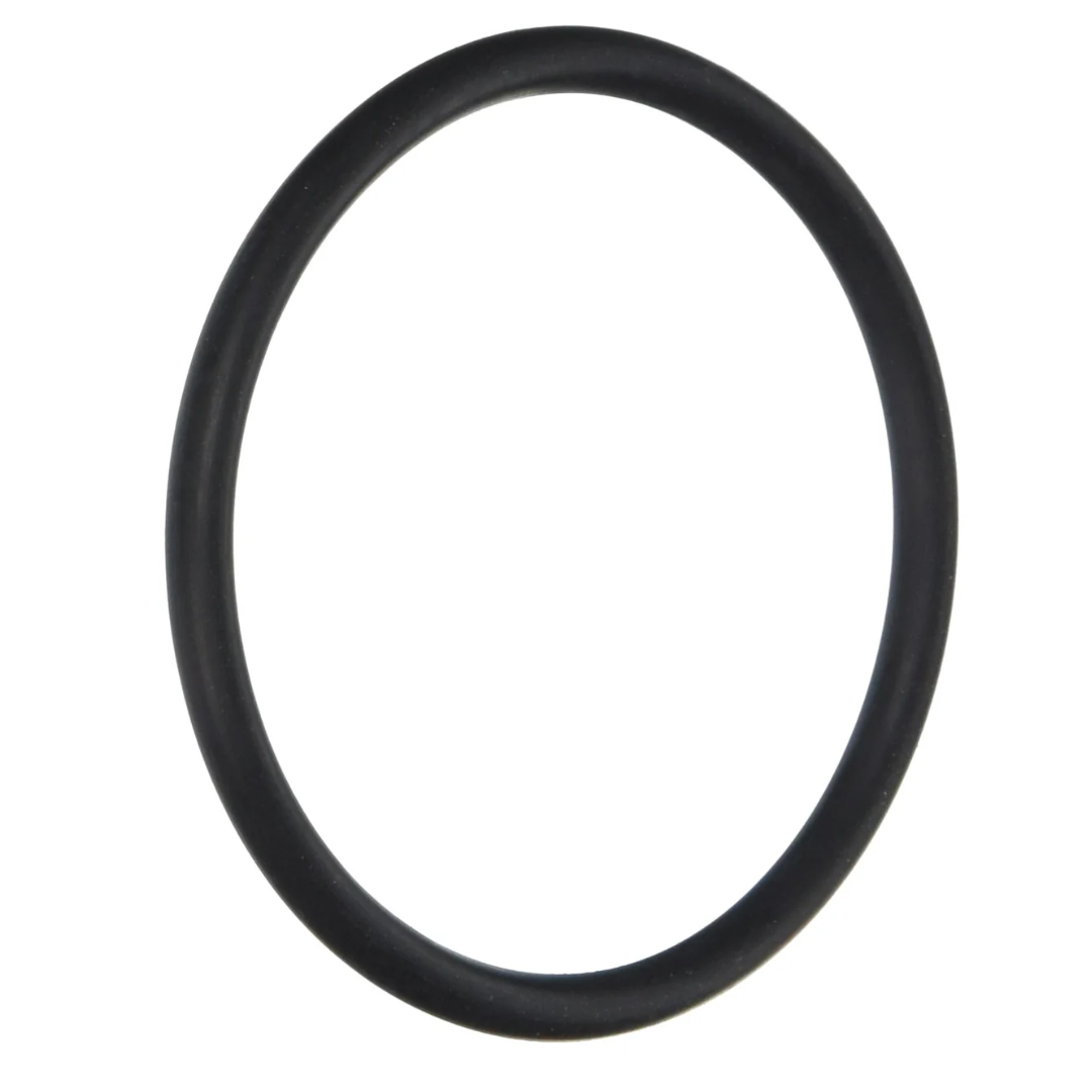 Pentair HiLite O-Ring | 79207100