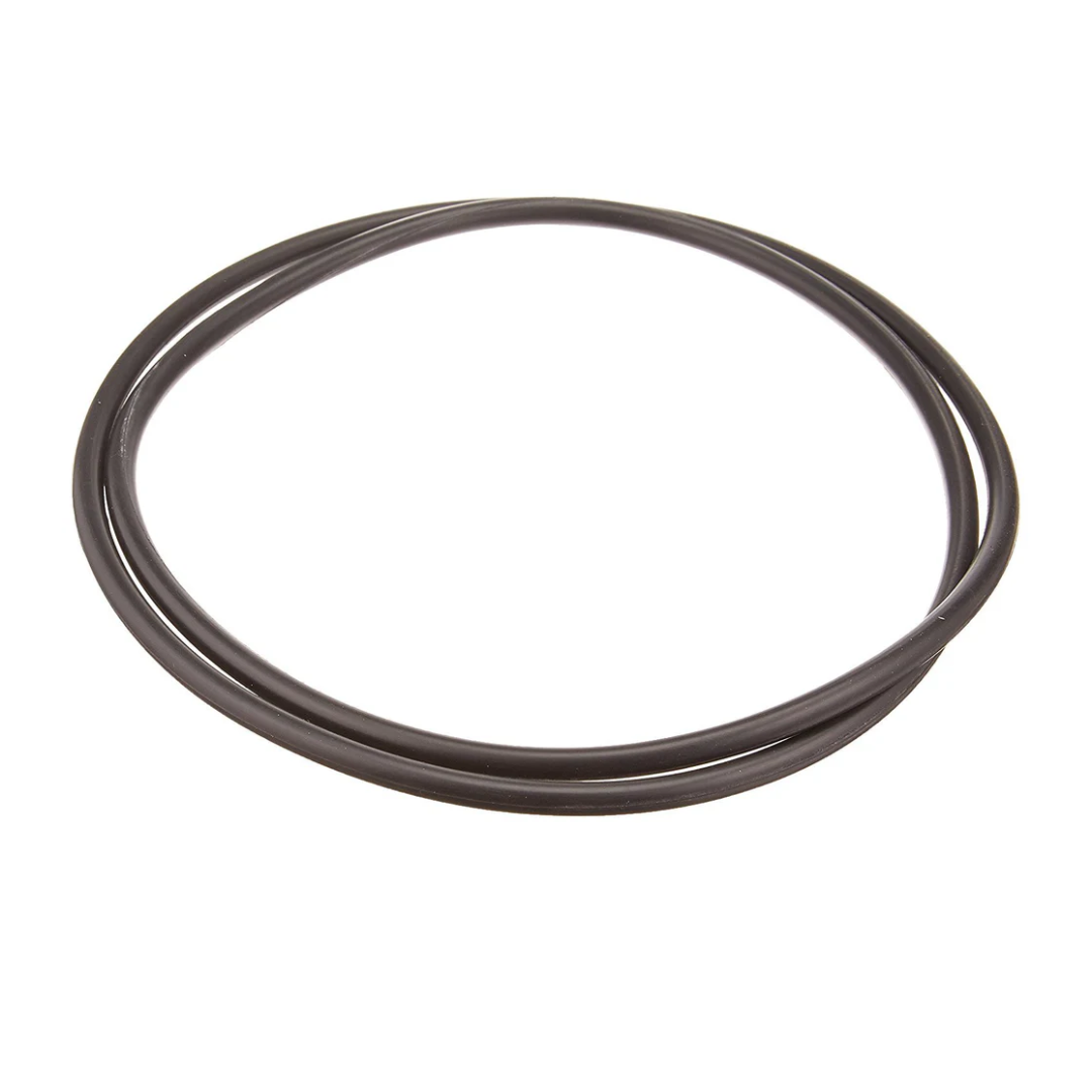 Hayward Body O-Ring | CCX1000G