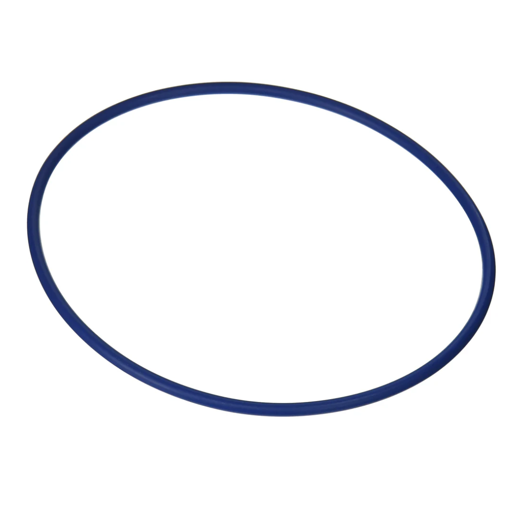 Hayward Valve/ Tank O-Ring | GMX600F