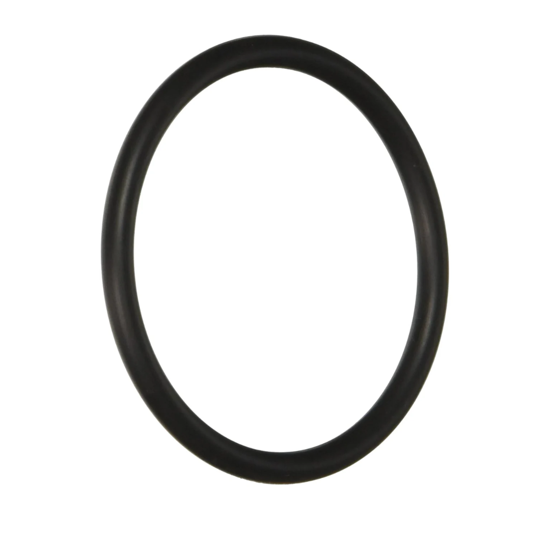 Hayward Large -O- Ring | SX220Z2