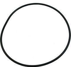 Waterway Plastics 806105129697 Discharge Pool & Spa Pump Volute O Ring Face Plate