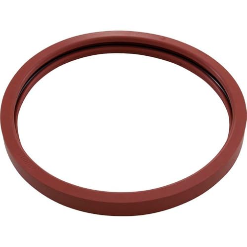 Pentair Kit Gasket Lens Silicone 5G Pool | 620400Z