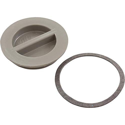 Waterway Flush Plug 1 1/2" W/Gasket-Gray | 400-4147