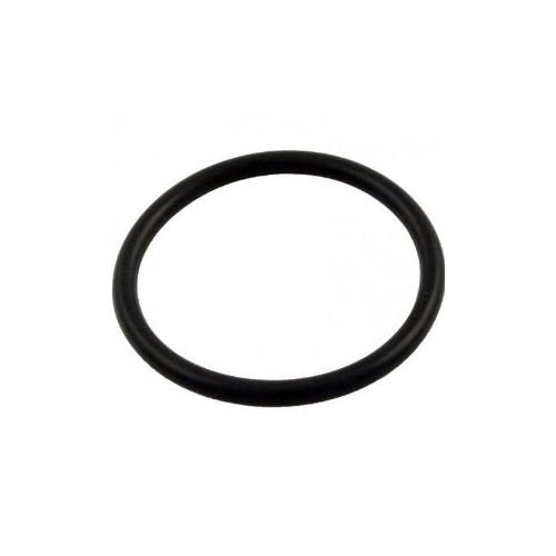 Pentair Oring 2.475