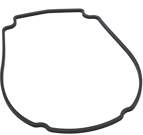 Waterway Pump Faceplate Gasket | 806-1400