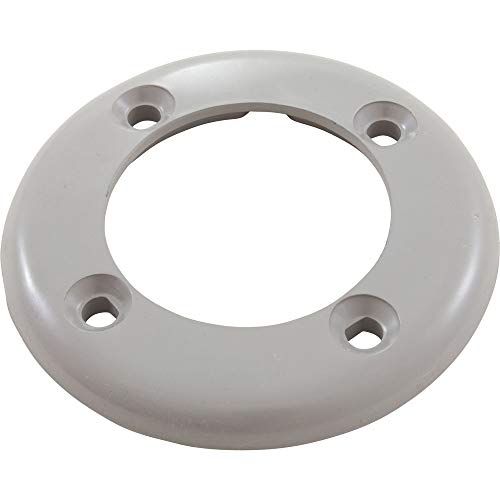 CMP Inlet Face plate Gray 25545-001-000