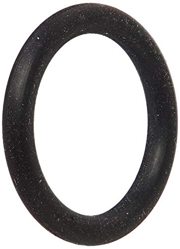 Hayward O- Ring | SX200Z5