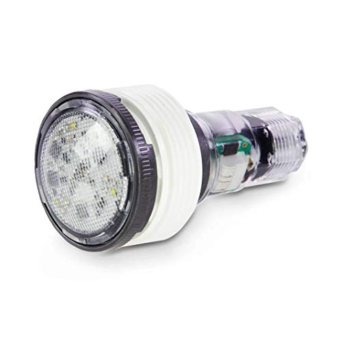Pentair MicroBrite White LED Light 12V, 100' Cord | EC-620429