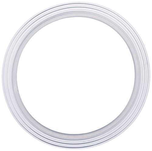 Waterway Plastics 806105124296 7111920 Collar Gasket use with clamp Style