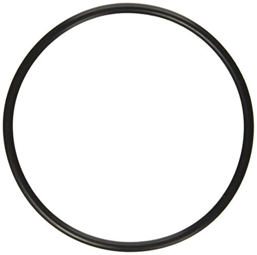 Pentair Oring 4.60Id X 3/16