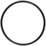 Pentair Oring 4.60Id X 3/16" Dia , 3/16" | 272541