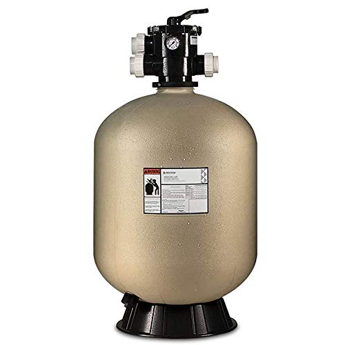 Pentair Sand Dollar Filter Top Mount, High Efficiency | EC-145333