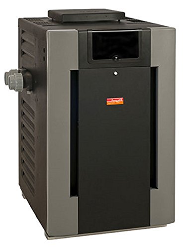 Raypak P-R406A-EP-C Digital Propane Gas Heater | 399K BTU | 009227