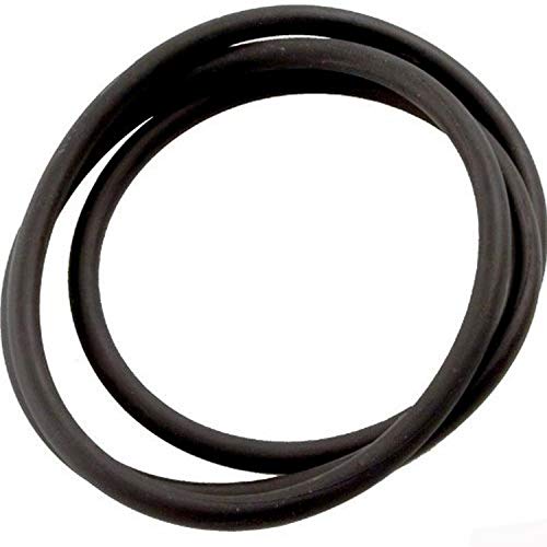 Jandy Pro Series O-Ring, Tank Top Cs | R0462700