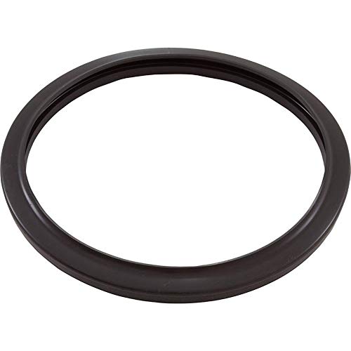 Jandy Pro Series Silicone Gasket, Pool | R0790500