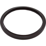Jandy Pro Series Silicone Gasket, Pool | R0790500