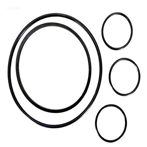 Hayward O-Ring Kit | VLX4004a