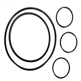 Hayward O-Ring Kit | VLX4004a
