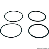 Raypak O Ring Inlet/Outletpool-Kit | 006724F