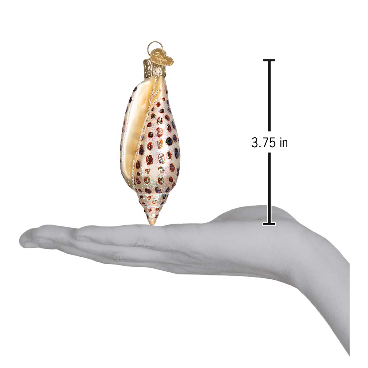 Old World Christmas 12465 Ornaments: Beach Shells Glass Blown Ornaments for Christmas Tree, Junonia Shell, Tan/Brown/White/Gold