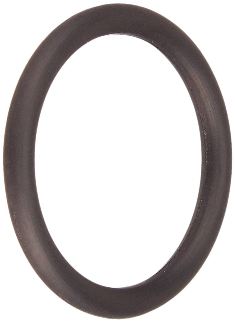 Hayward O-Ring | SX200Z14