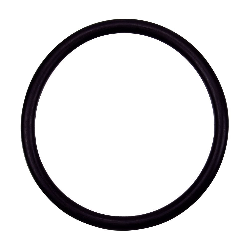 Pentair Oring 3/16