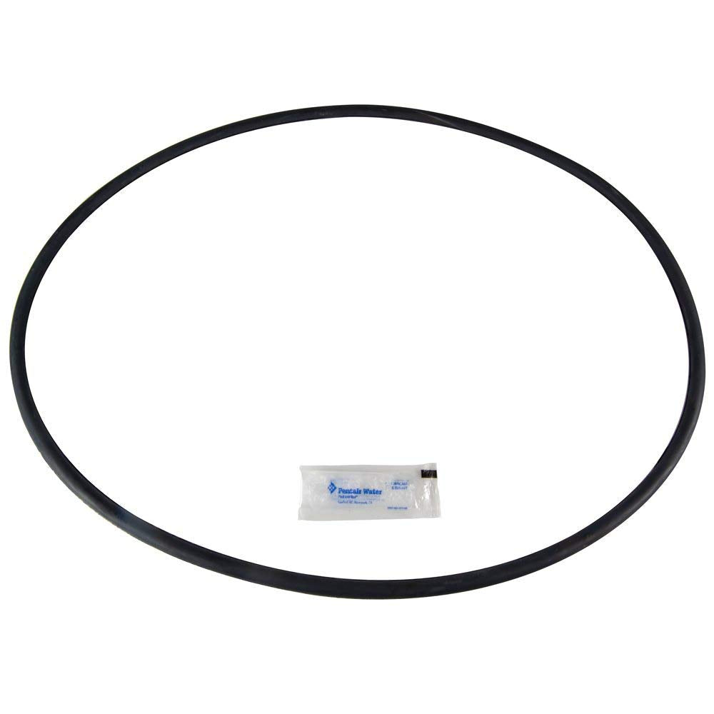 Pentair Orng Svc Kit | 27001-0061S