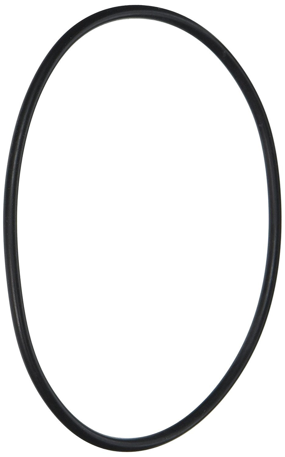 Hayward CX120D Tank O-Ring | CX120D