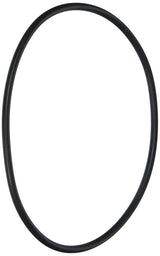 Hayward CX120D Tank O-Ring | CX120D