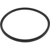 Jandy Sand Filter Lid Seal O-Ring | R0487400