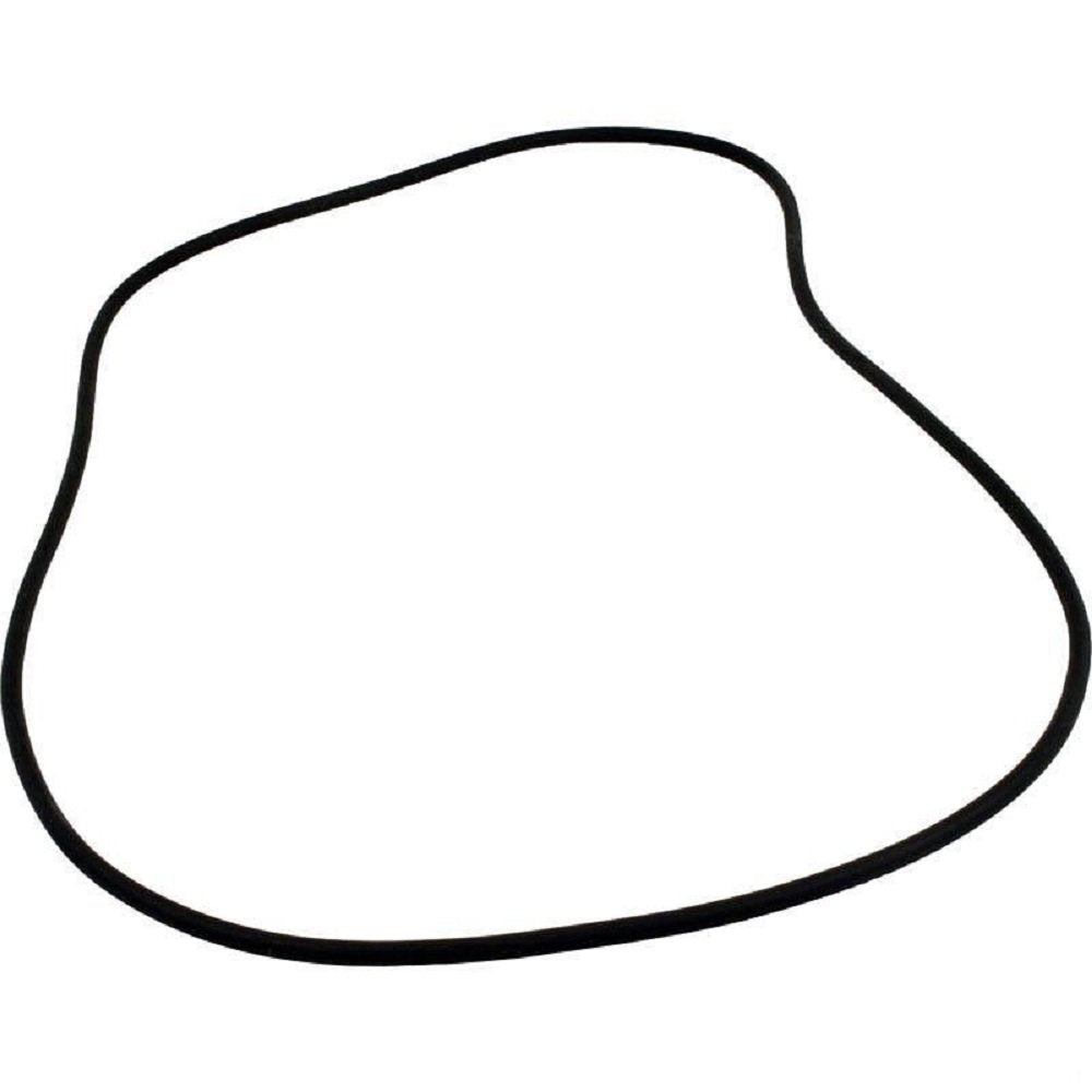Hayward O-Ring 60 Duro | SX240Z1