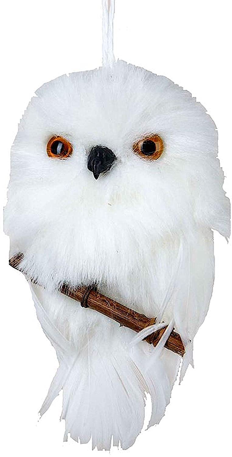 Kurt S. Adler YAMC2220 Hanging Owl Ornament with Branch, 3.93", White