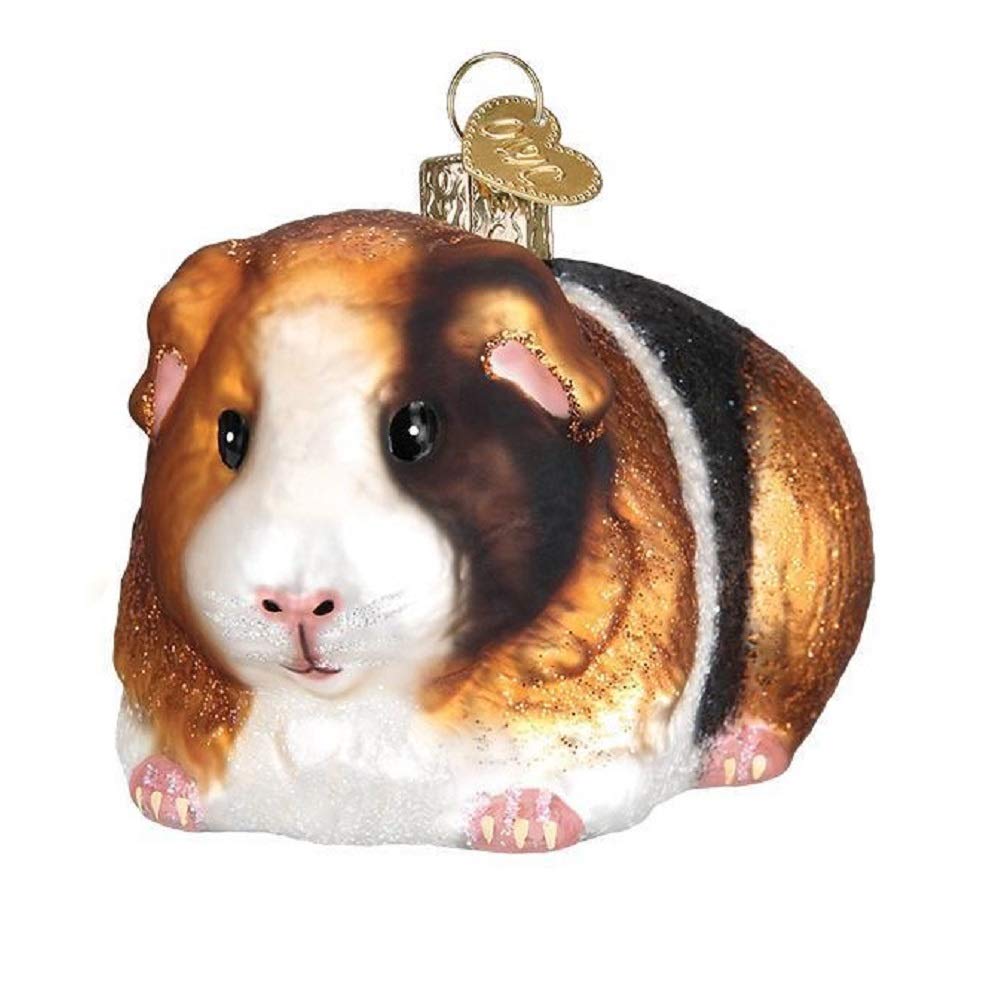 Old World Christmas Guinea Pig