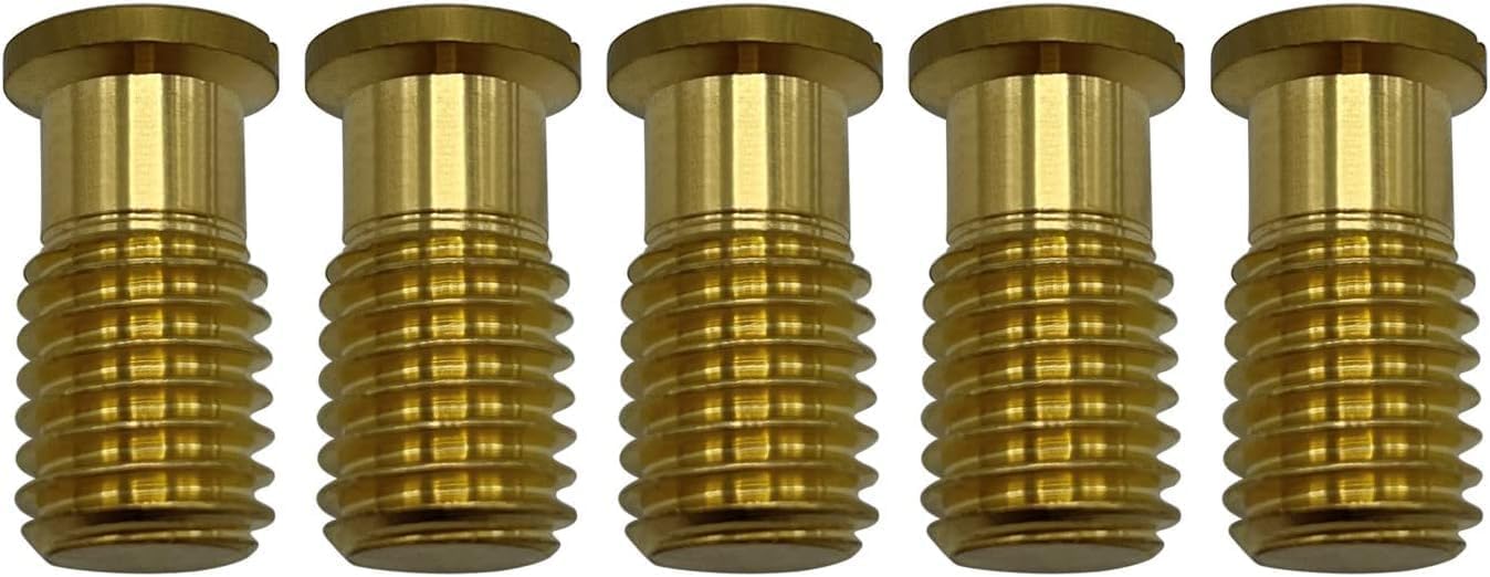 Poolzilla Threaded Brass Screw for Anchor