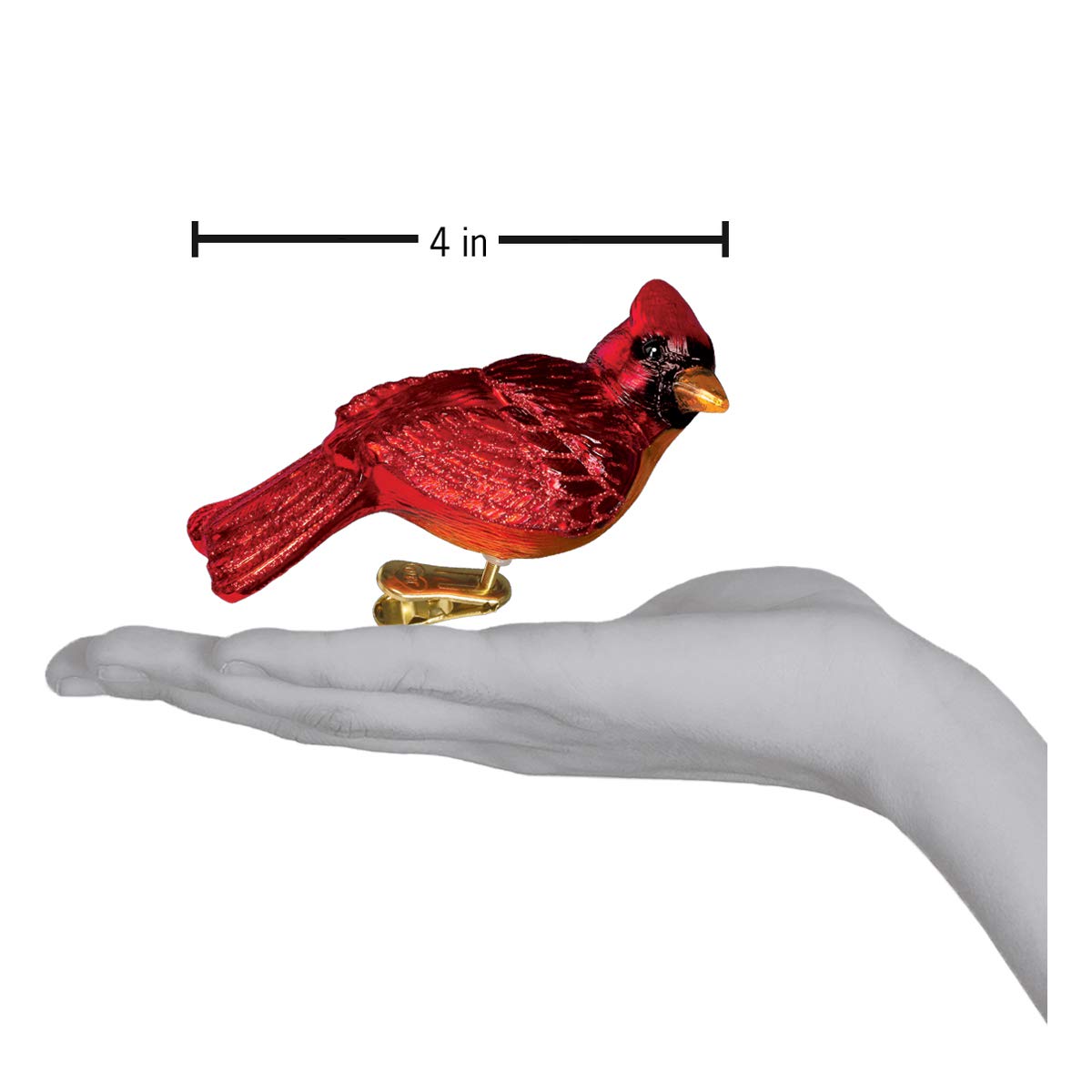 Old World Christmas Ornaments: Bird Watcher Collection Glass Blown Ornaments for Christmas Tree, Resting Cardinal