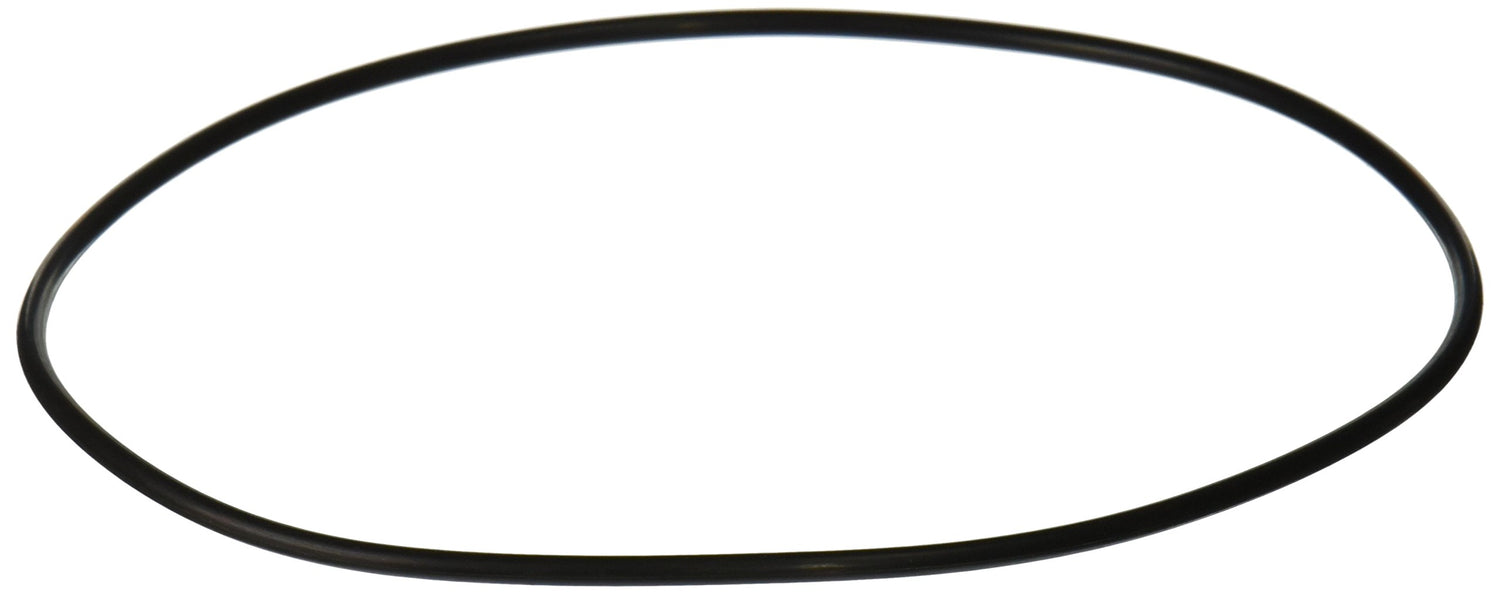 Hayward Cover O-Ring | SPX0715Z1