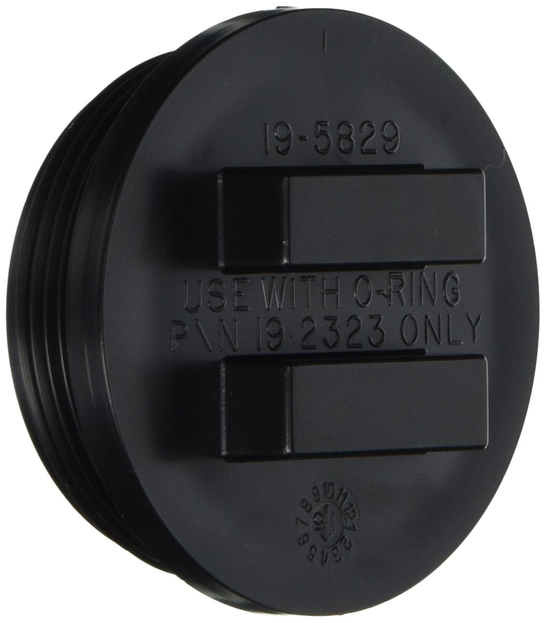 Pentair Plug 2In Npsm | 195829