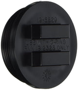 Pentair Plug 2In Npsm | 195829