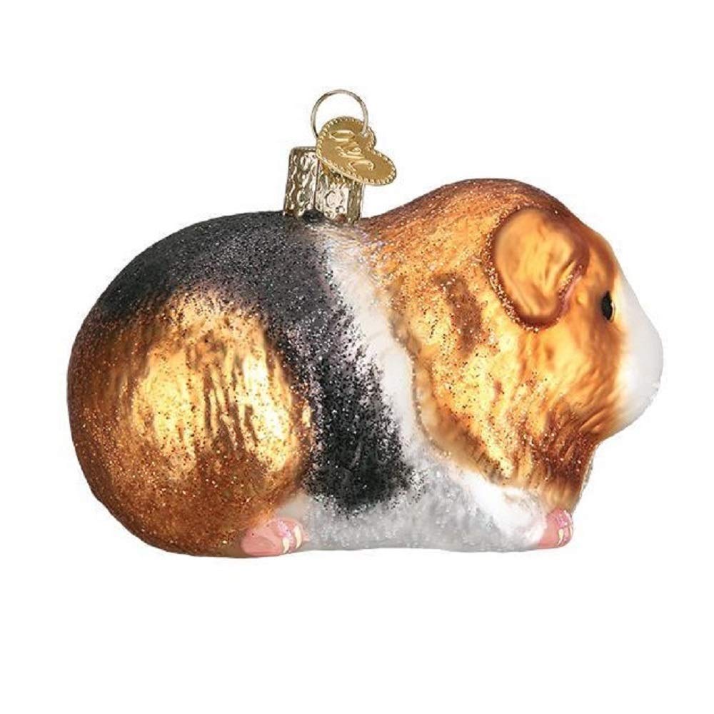 Old World Christmas Guinea Pig