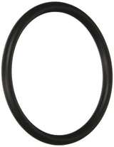 Hayward Large -O- Ring | SX220Z2