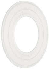 Pentair Gasket Aqlmntr | 79116800