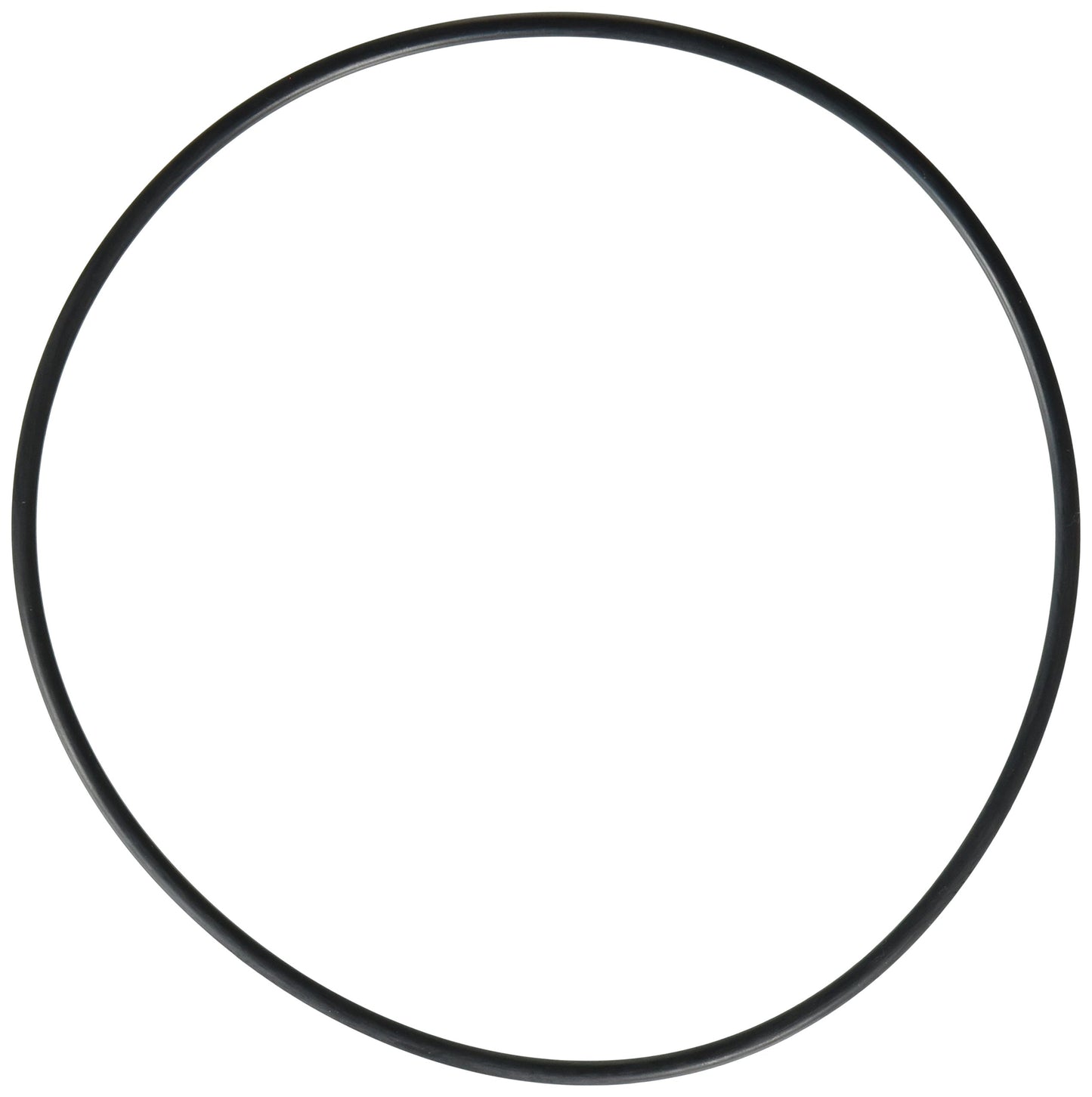 Hayward O-Ring | SPX0704F