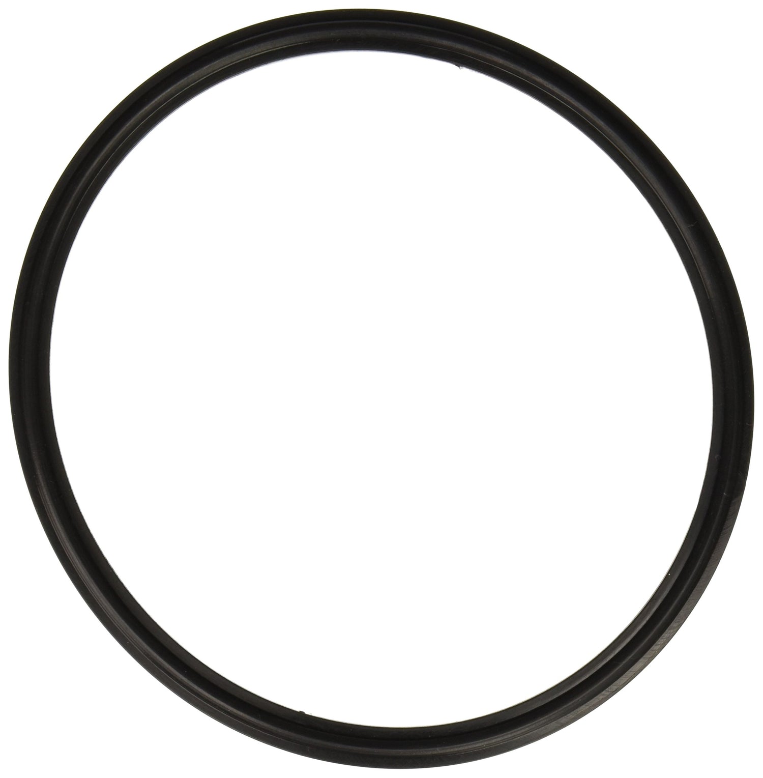 Hayward Lens Gasket | SPX0540Z2