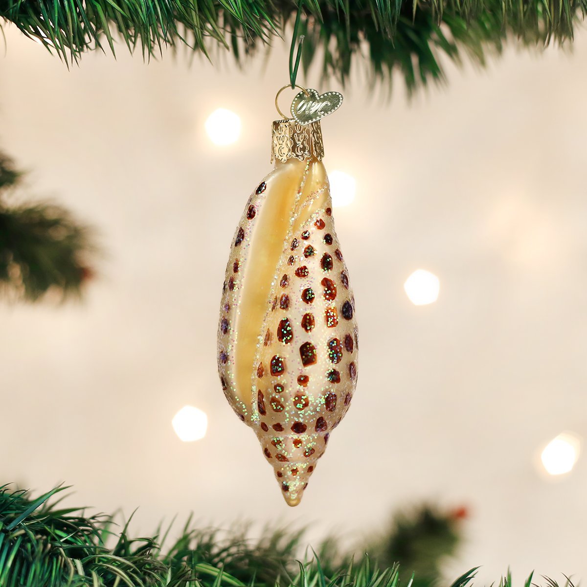 Old World Christmas 12465 Ornaments: Beach Shells Glass Blown Ornaments for Christmas Tree, Junonia Shell, Tan/Brown/White/Gold