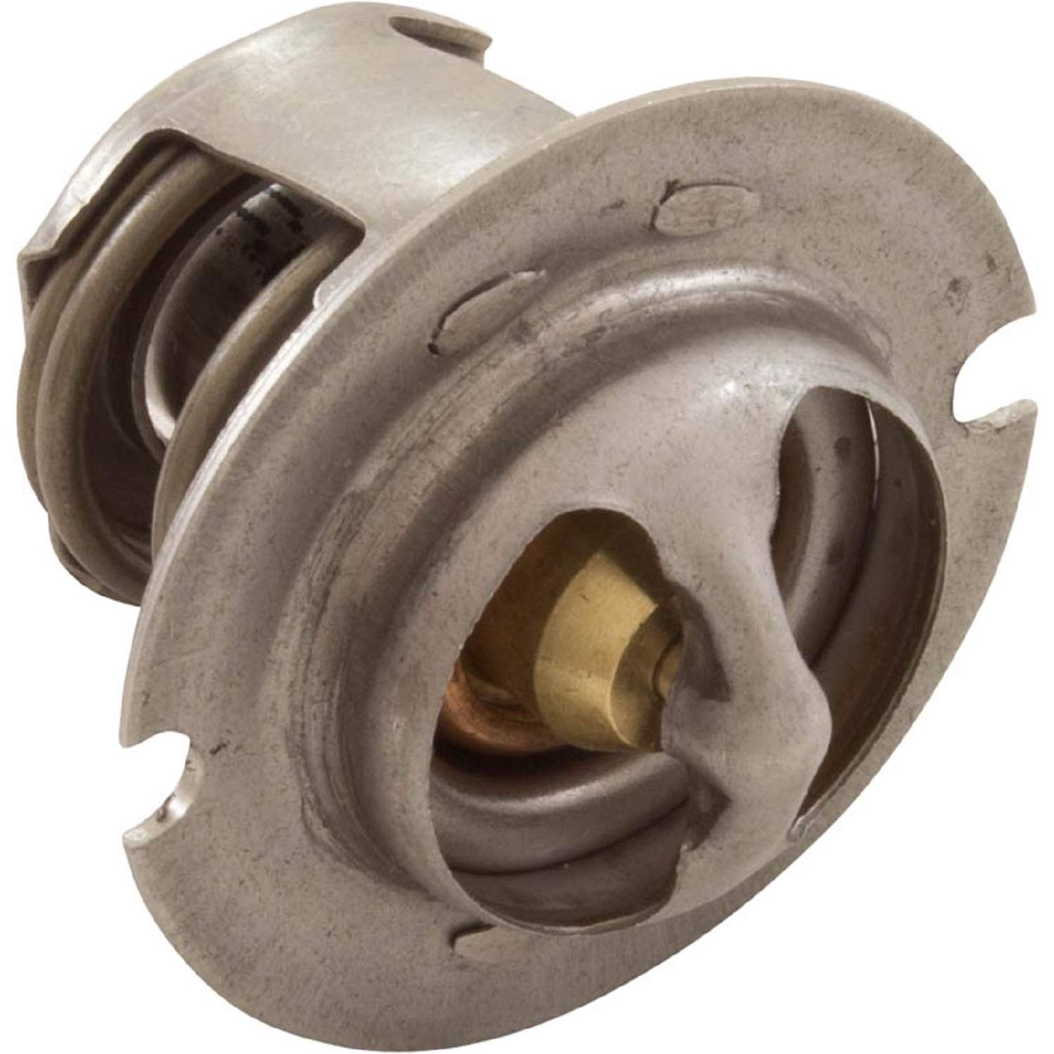 Pentair Reg Therm Mt125 Rplc | 474989