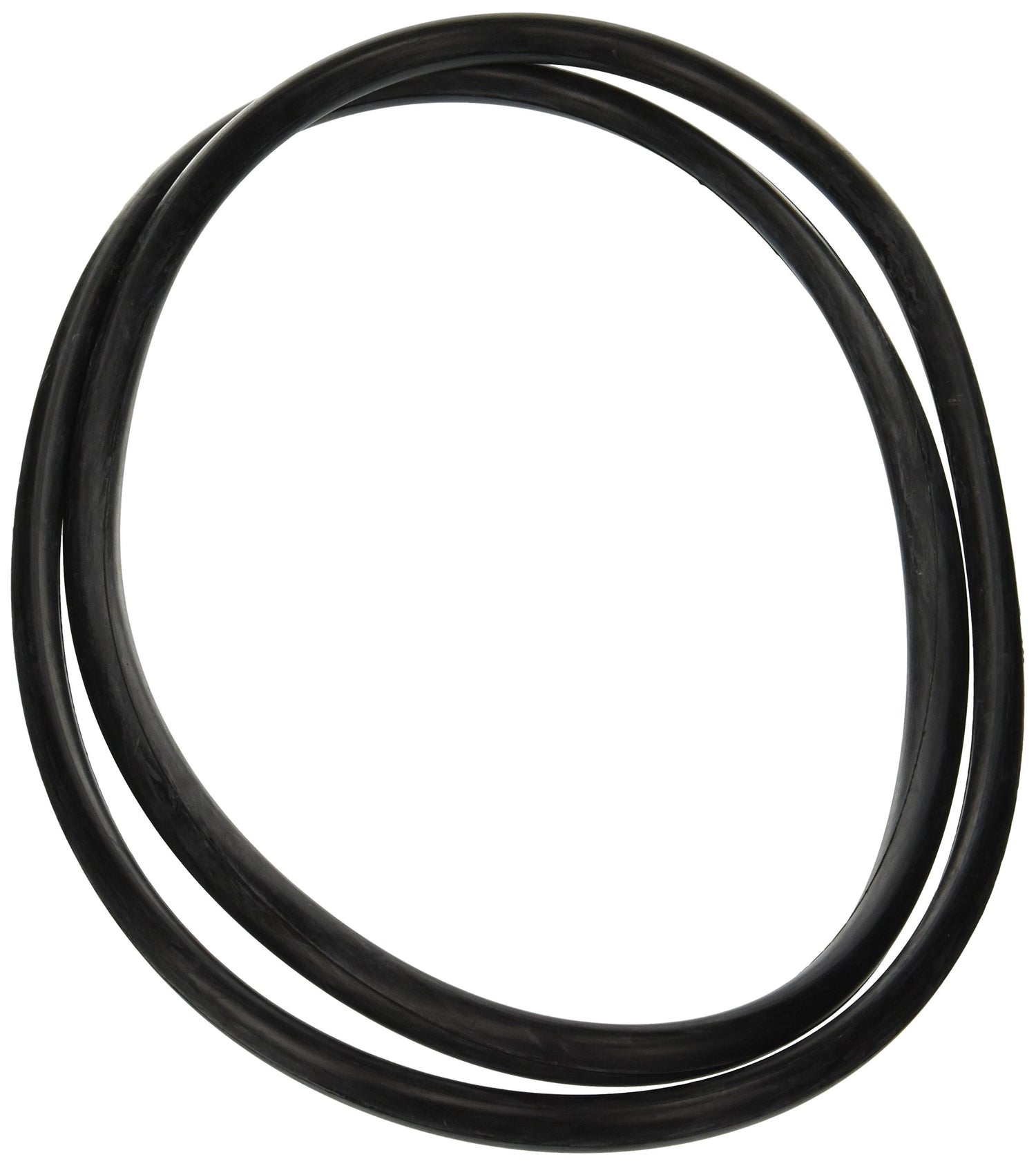 Jandy Pro Series O-Ring, Center Strap | R0357800