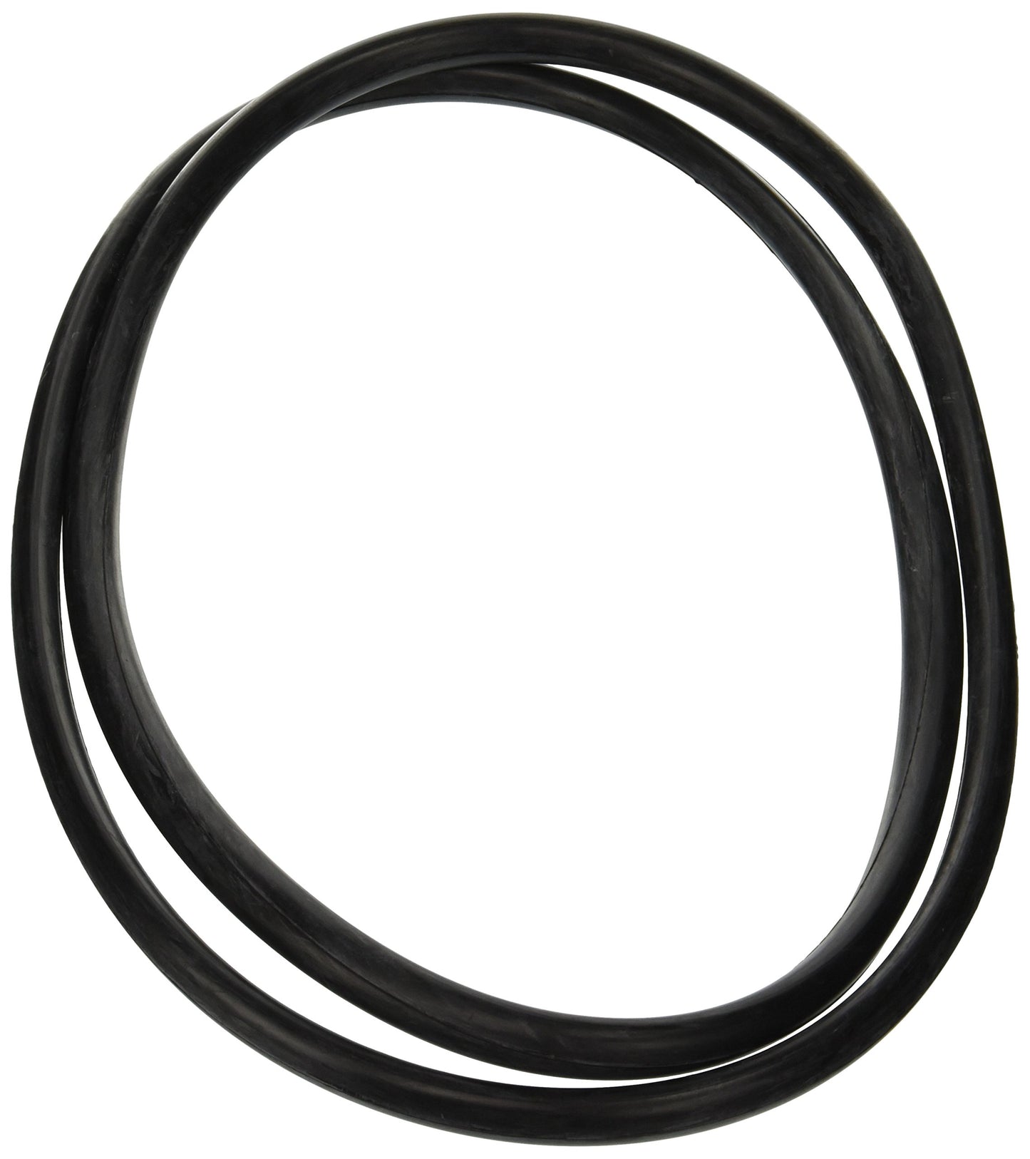 Jandy Pro Series O-Ring, Center Strap | R0357800